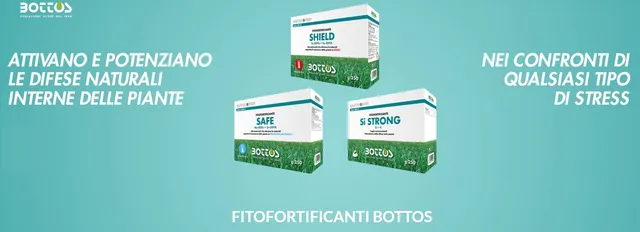 bottos-safe-250-gr-fitofortificante-con-manganese-e-zinco-per-tappeto-erboso image 1