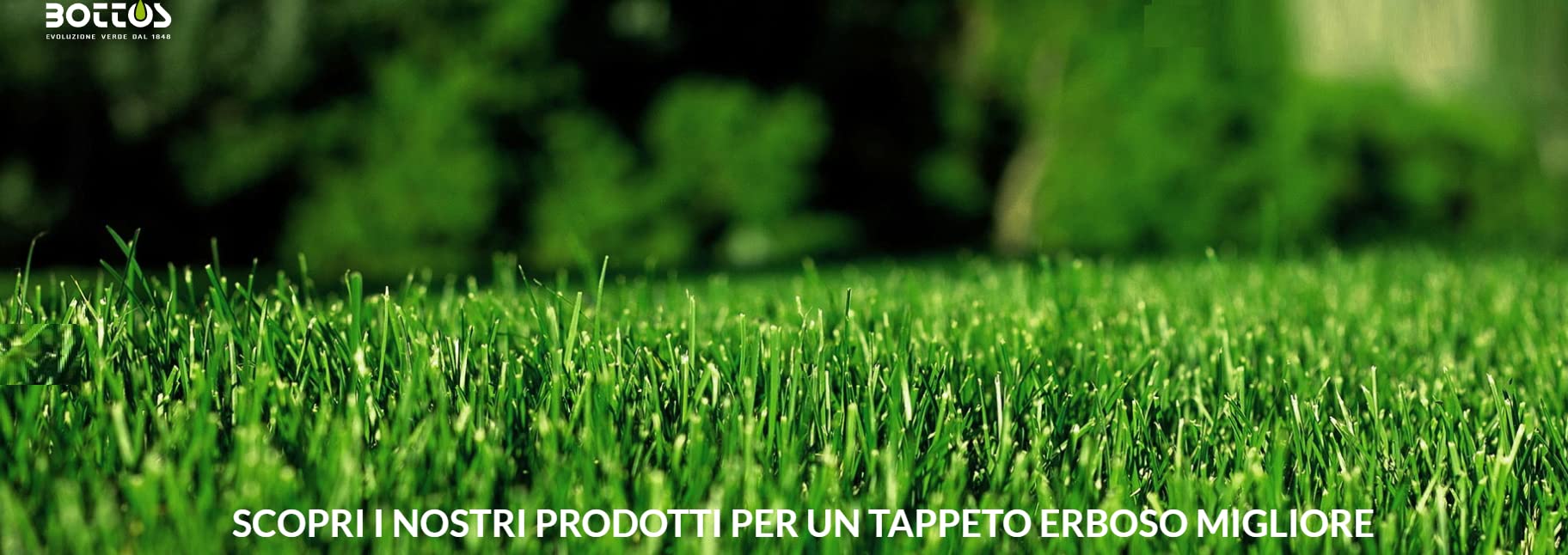 bottos-safe-250-gr-fitofortificante-con-manganese-e-zinco-per-tappeto-erboso image 2