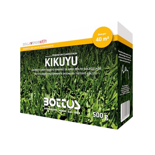 bottos-semi-per-prato-kikuyu-grass-pennisetum-cl-500gr image 2