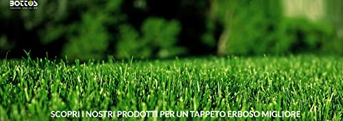bottos-safe-250-gr-fitofortificante-con-manganese-e-zinco-per-tappeto-erboso image 8
