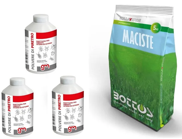 bottos-maciste-sementi-per-prato-resistente-alla-siccit-5-kg-insetticida-pbk-gm- image 1