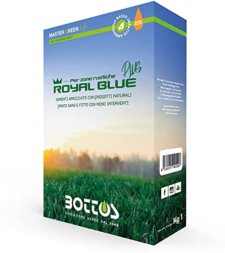 bottos-royal-blue-plus-sementi-per-tappeto-erboso-per-zone-rustiche-1-kg image 4