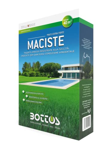 bottos-maciste-sementi-per-tappeto-erboso-1-kg-miscela-resistente-alla-siccit-pe image 3
