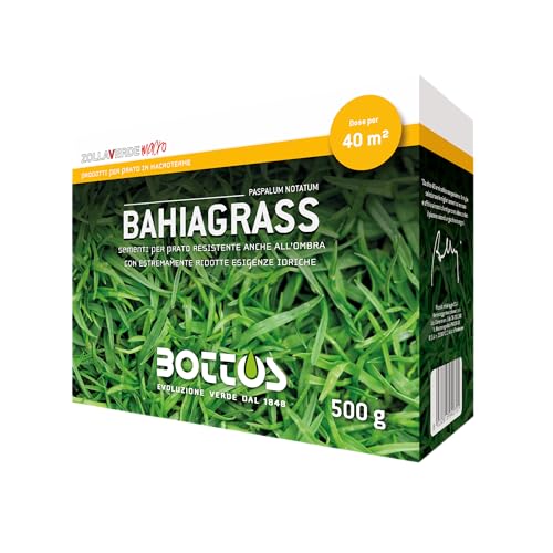 bottos-semi-per-prato-bahia-grass-paspalum-notatum-500-grammi image 2