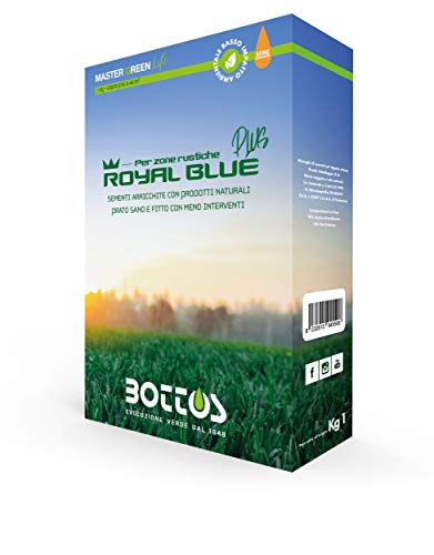 bottos-royal-blue-plus-sementi-per-tappeto-erboso-per-zone-rustiche-1-kg image 5