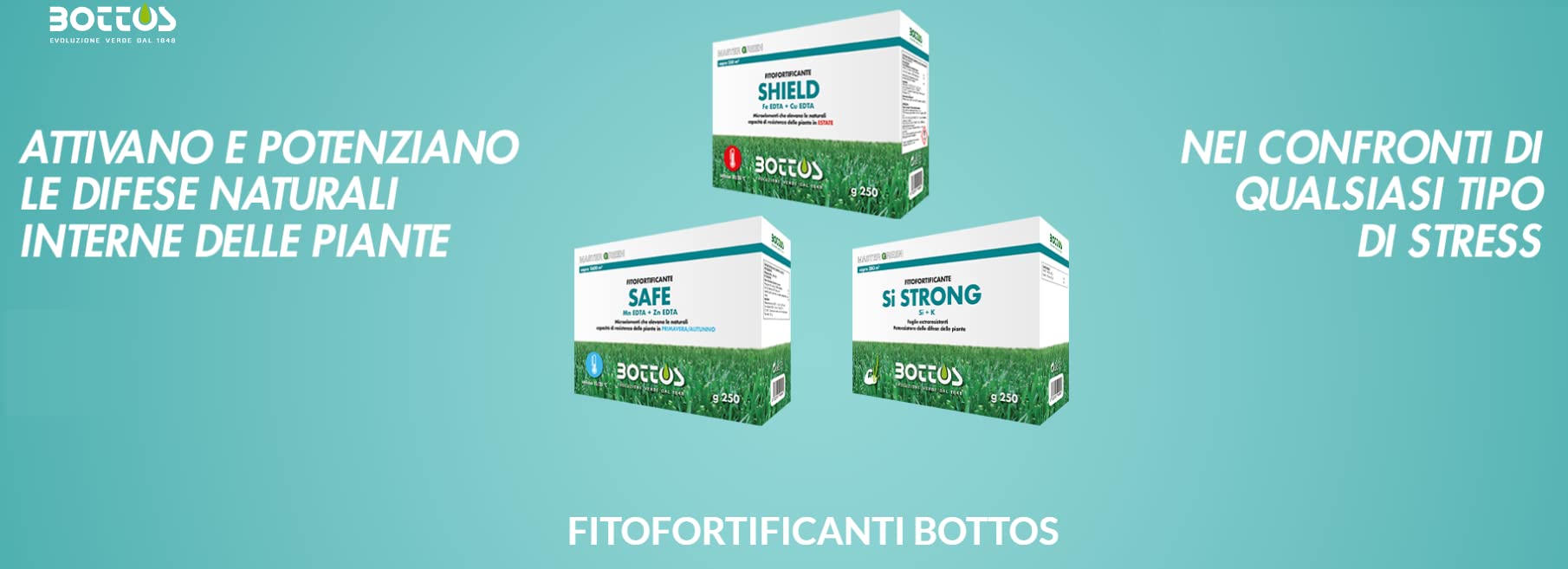 bottos-safe-250-gr-fitofortificante-con-manganese-e-zinco-per-tappeto-erboso image 1