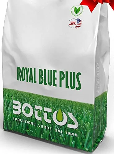 bottos-royal-blue-plus-kg-10-sementi-per-prato-di-alta-qualit image 1