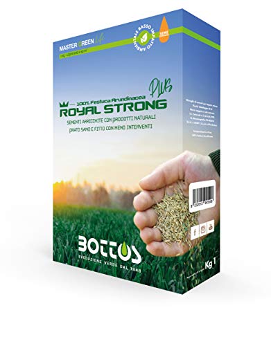 bottos-royal-strong-plus-semi-per-prato-1-kg-festuca-arundinacea-conciata-resist image 3