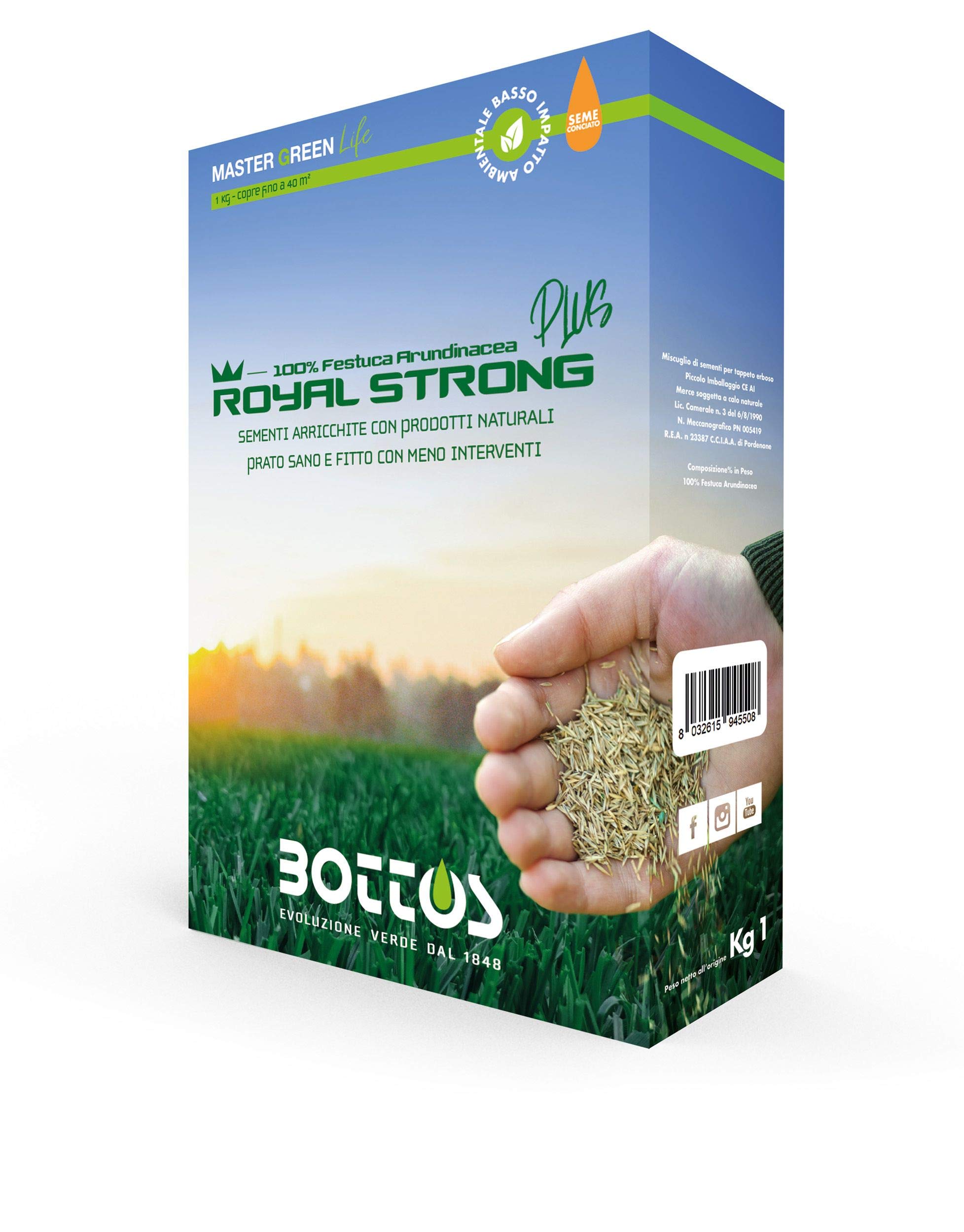 bottos-royal-strong-plus-semi-per-prato-1-kg-festuca-arundinacea-conciata-resist image 1